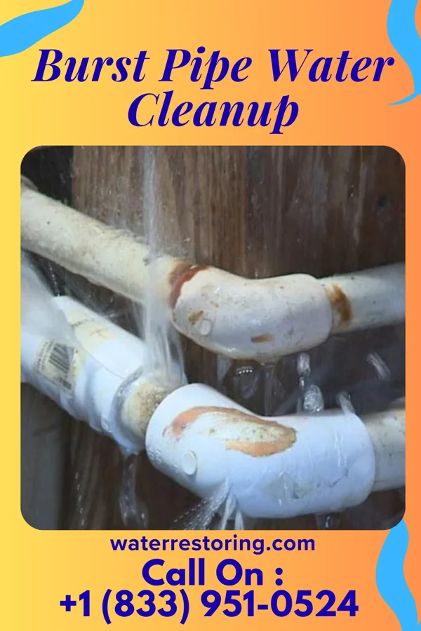 Burst Pipe Water Cleanup in Highwood, IL