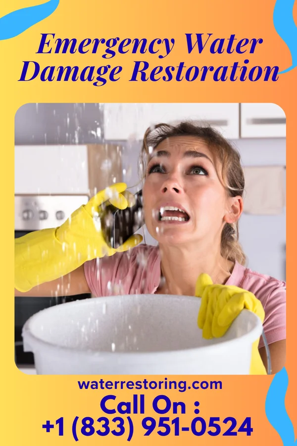 Emergency Water Damage Restoration in Highwood, IL