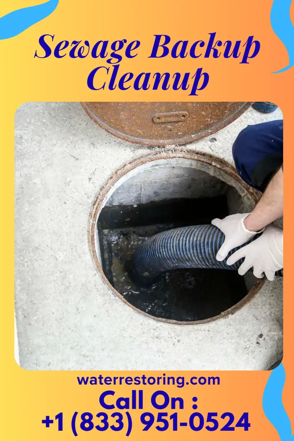 Sewage Backup Cleanup in Highwood, IL